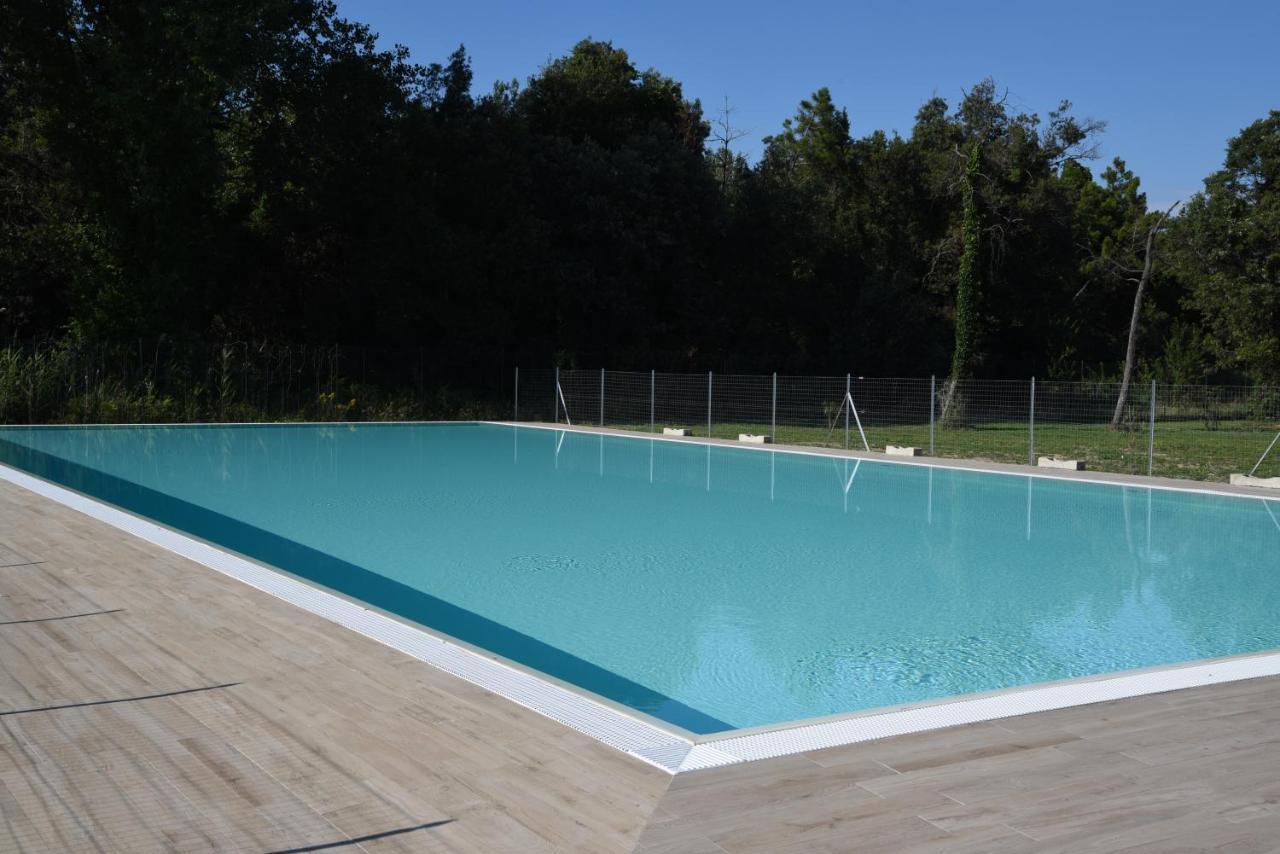 Residence Il Piviere App 7 With Private Garden Calambrone Dış mekan fotoğraf